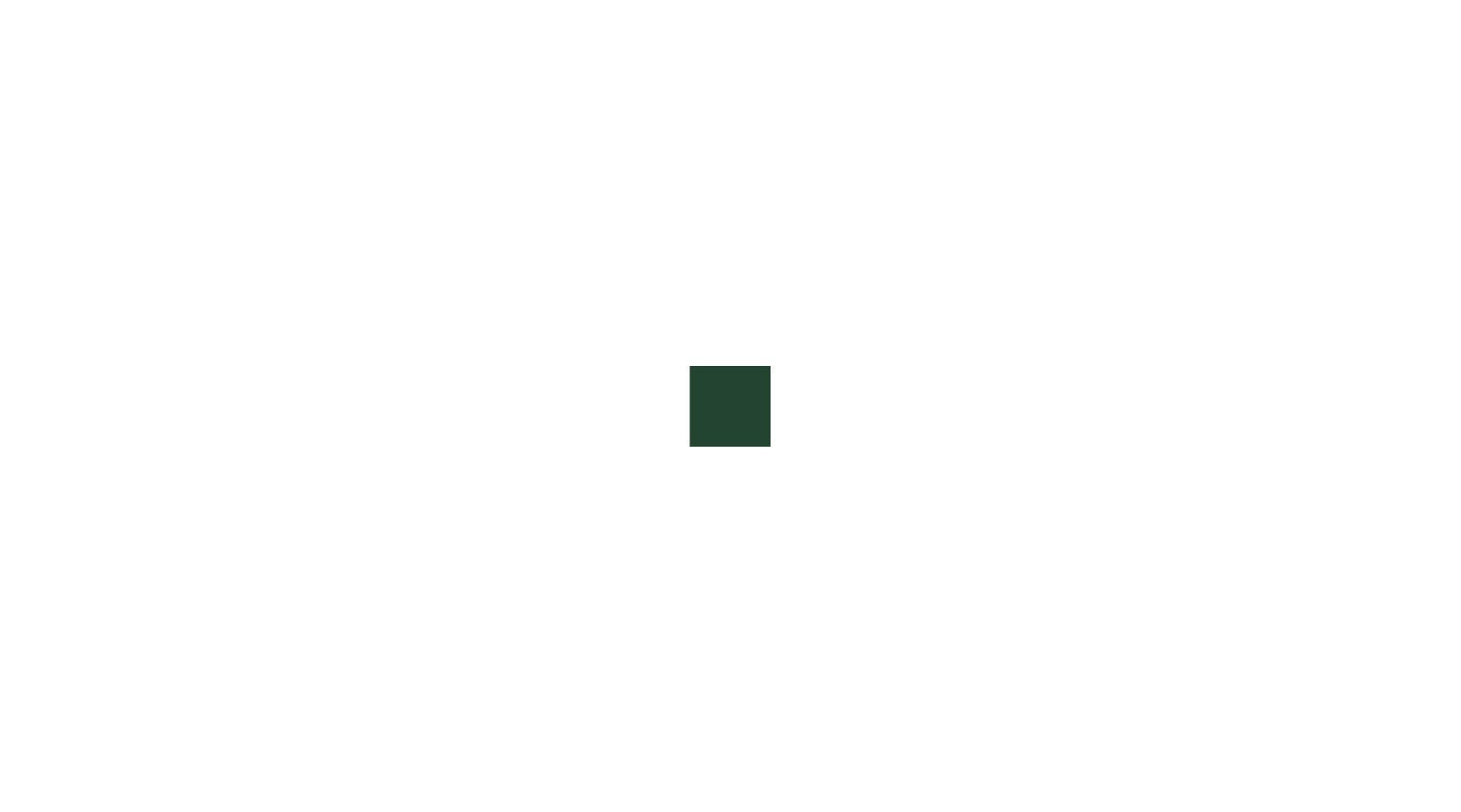 Top render
